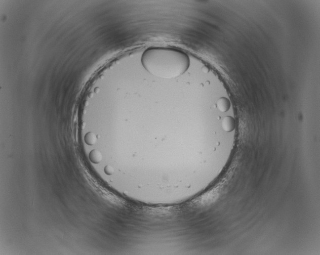 X0000067351126200604281435