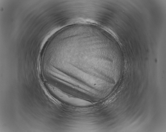 X0000067351128200604281435