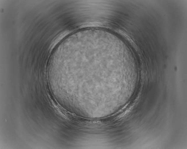 X0000067351129200604281435