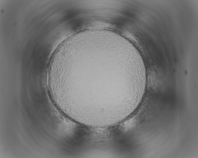 X0000067351130200604281435