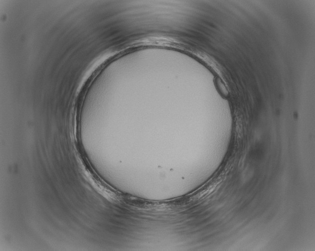 X0000067351131200604281435