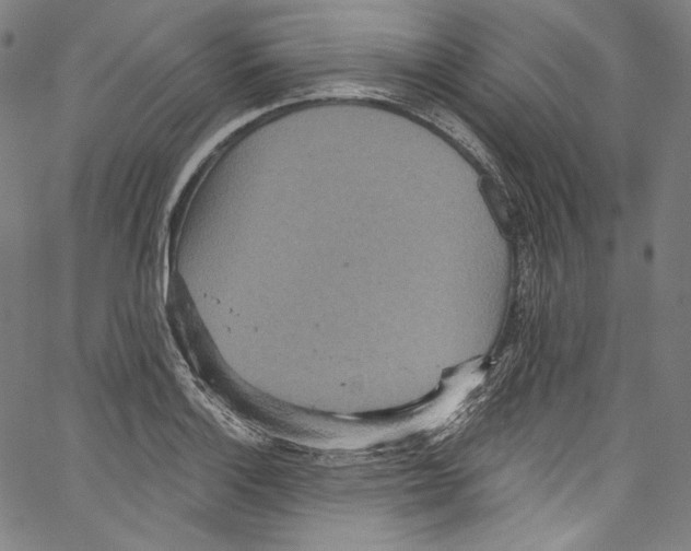 X0000067351132200604281435