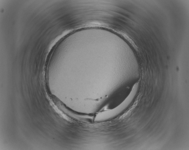 X0000067351134200604281435