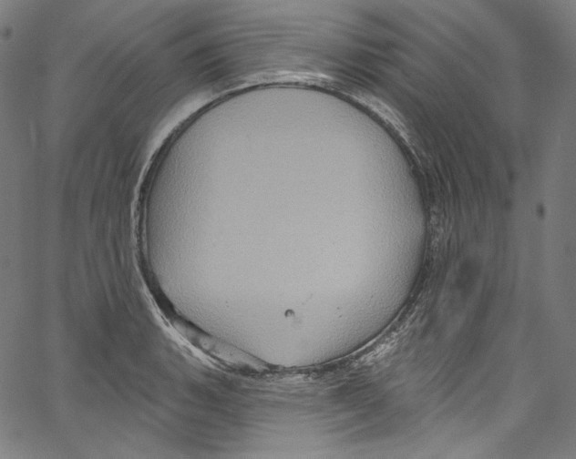 X0000067351135200604281435