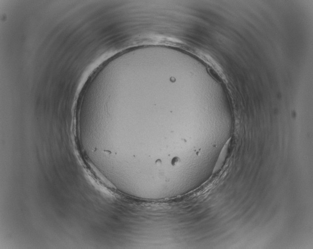 X0000067351136200604281435