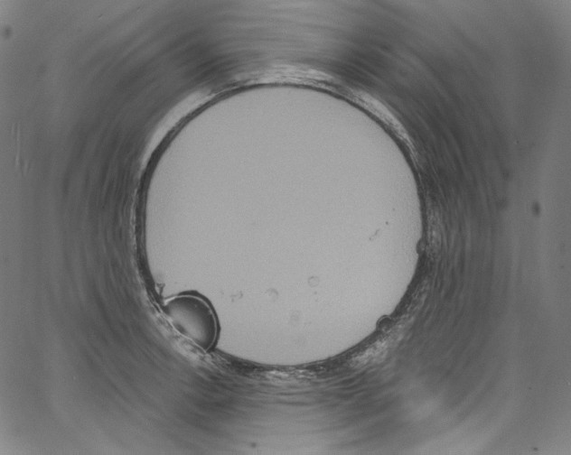 X0000067351138200604281435