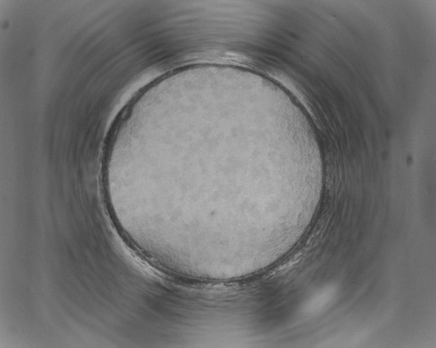 X0000067351139200604281435