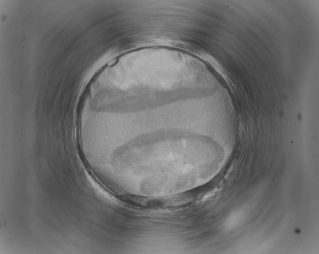 X0000067351143200604281435