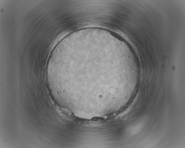 X0000067351145200604281435