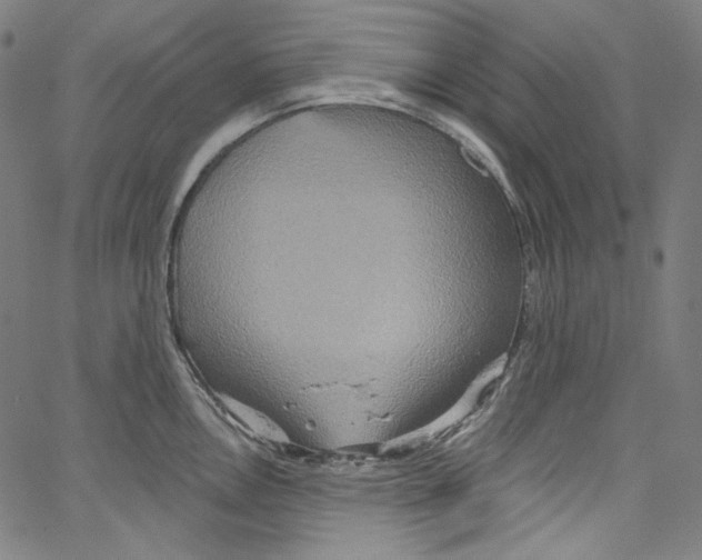 X0000067351146200604281435