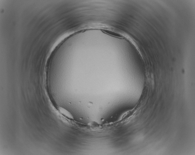 X0000067351147200604281435