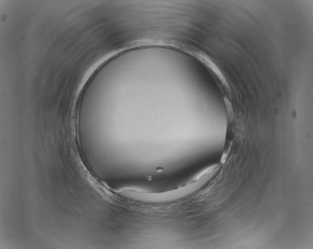 X0000067351148200604281435