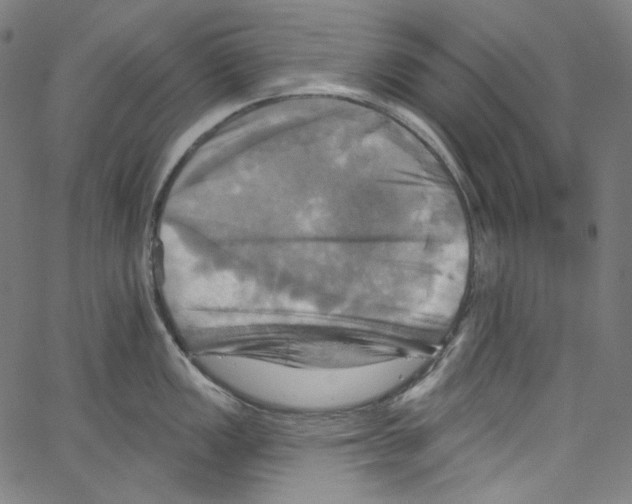 X0000067351149200604281435