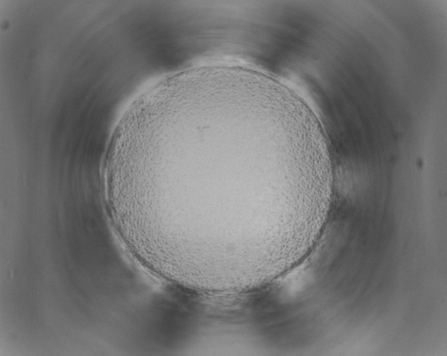 X0000067351150200604281435