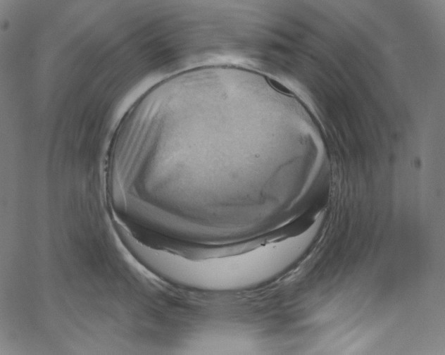 X0000067351151200604281435