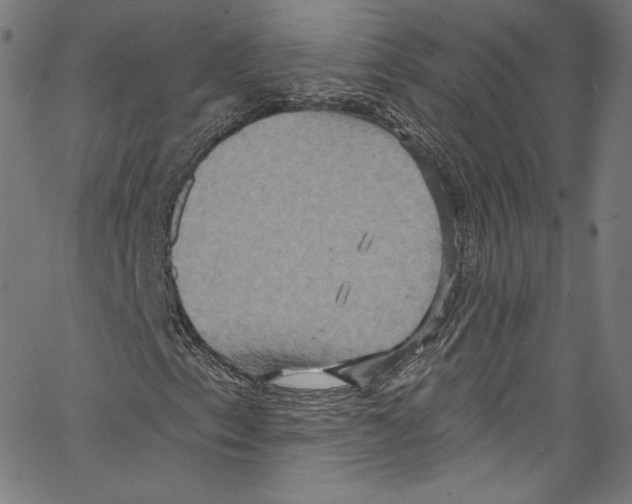 X0000067351153200604281435