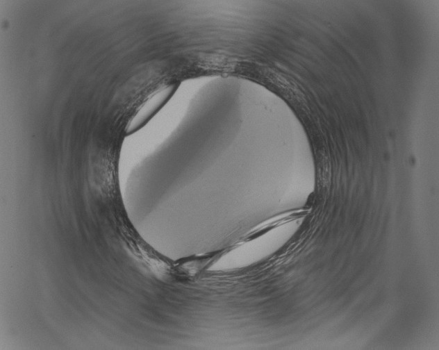 X0000067351154200604281435