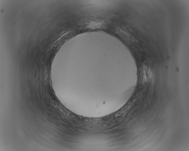 X0000067351158200604281435