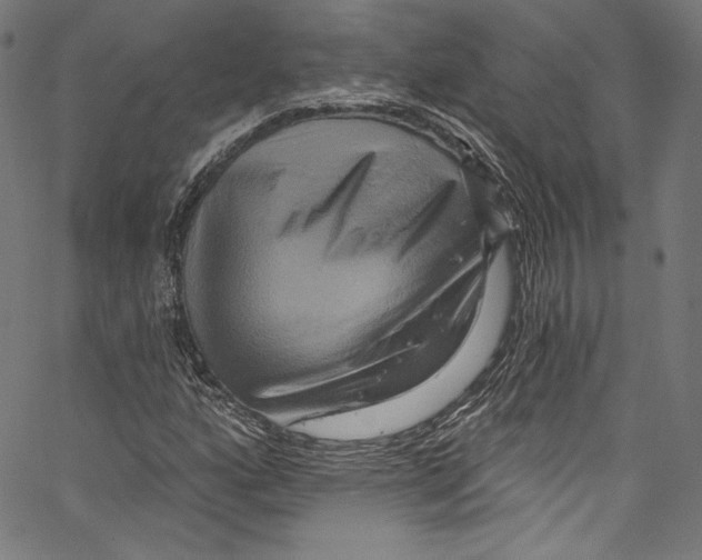 X0000067351160200604281434