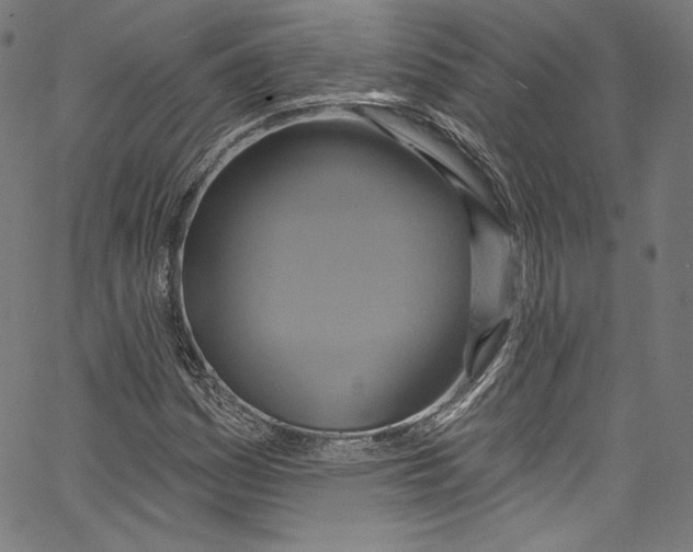 X0000067351161200604281434