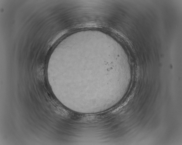 X0000067351162200604281434