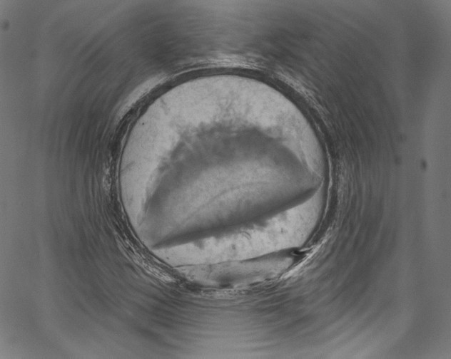 X0000067351163200604281434