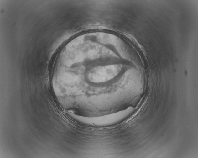 X0000067351167200604281434