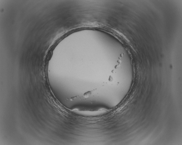 X0000067351168200604281434