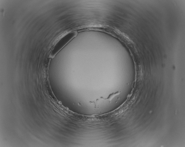 X0000067351169200604281434