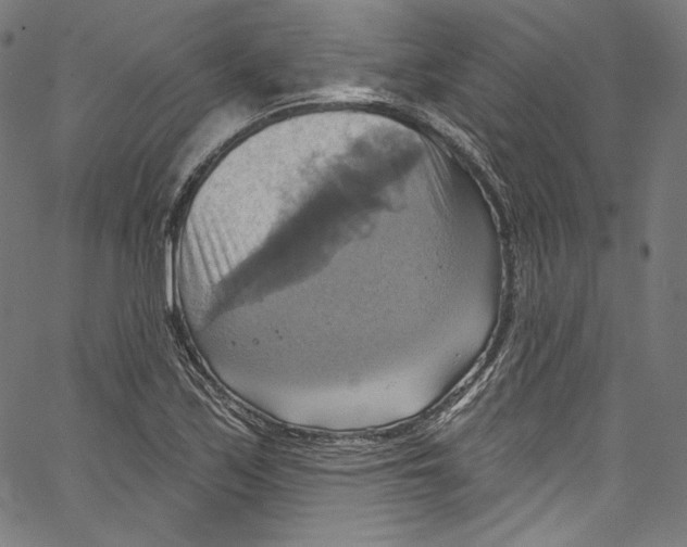 X0000067351171200604281434