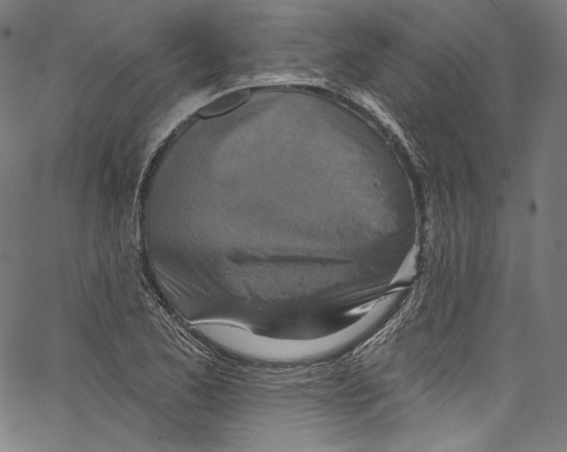 X0000067351173200604281434