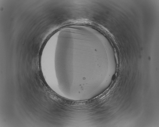 X0000067351174200604281434