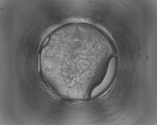 X0000067351175200604281434