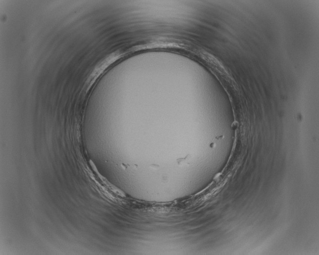 X0000067351177200604281434