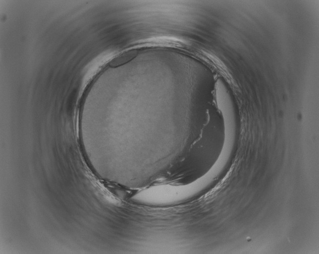 X0000067351180200604281434