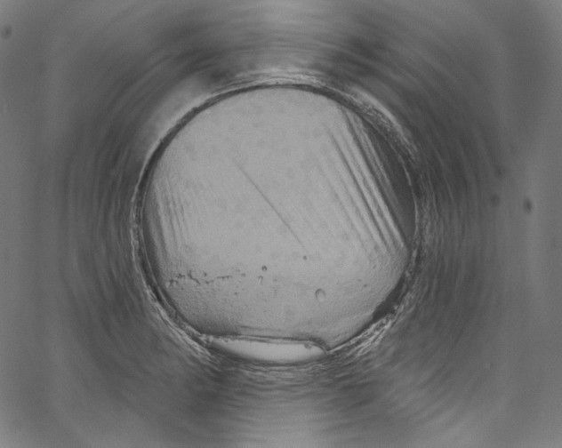 X0000067351182200604281434