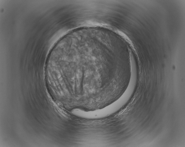 X0000067351183200604281434