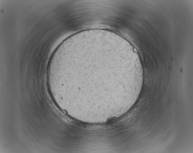 X0000067351187200604281434