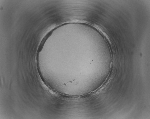 X0000067351189200604281434