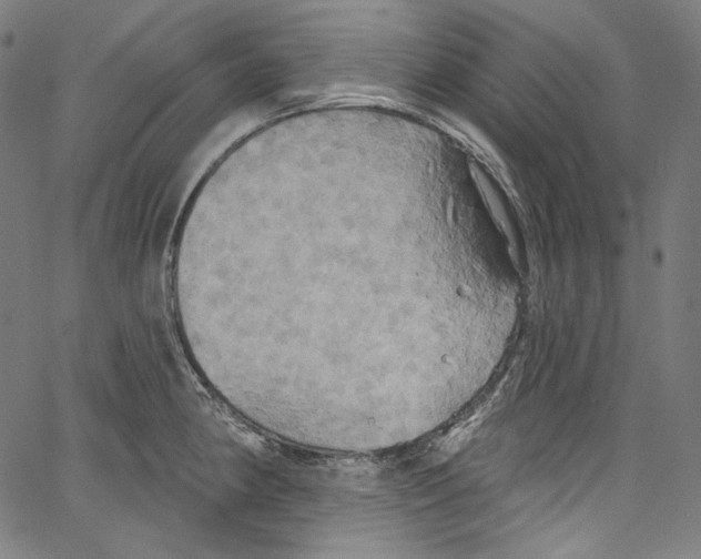 X0000067351190200604281434