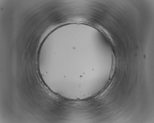 X0000067351192200604281434