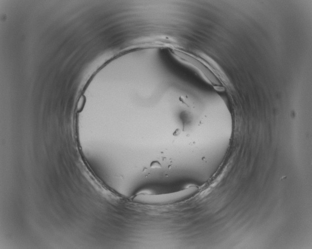 X0000067351196200604281434