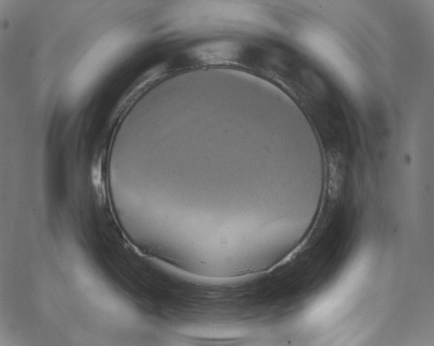 X0000067351198200604281434