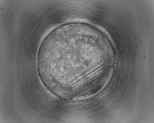 X0000067351199200604281434