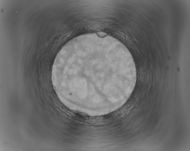 X0000067351201200604281433