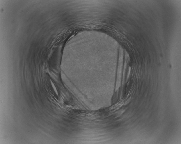 X0000067351202200604281433