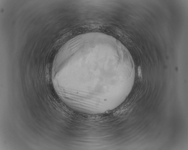 X0000067351203200604281433