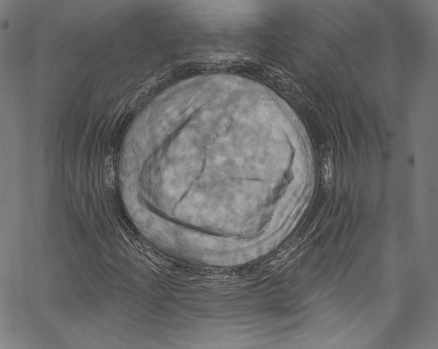 X0000067351204200604281433