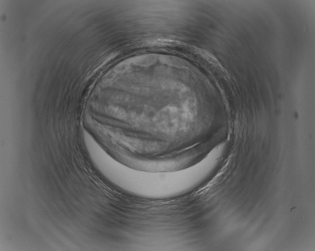 X0000067351209200604281433