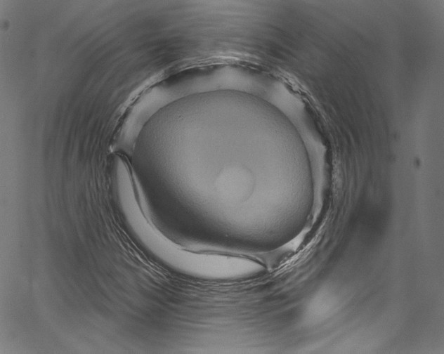 X0000067351210200604281433